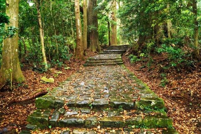 世界遺産である和歌山県の熊野古道