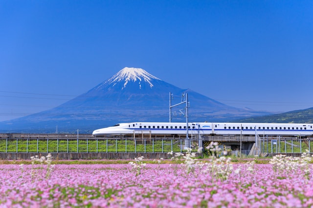 「富士山」が有名な、静岡県の地価は?(出所:PIXTA)