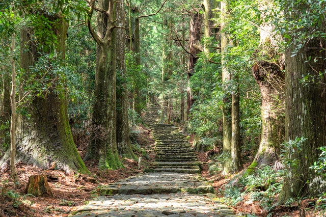 「熊野古道」が有名な、和歌山県の地価は?(出所:PIXTA)