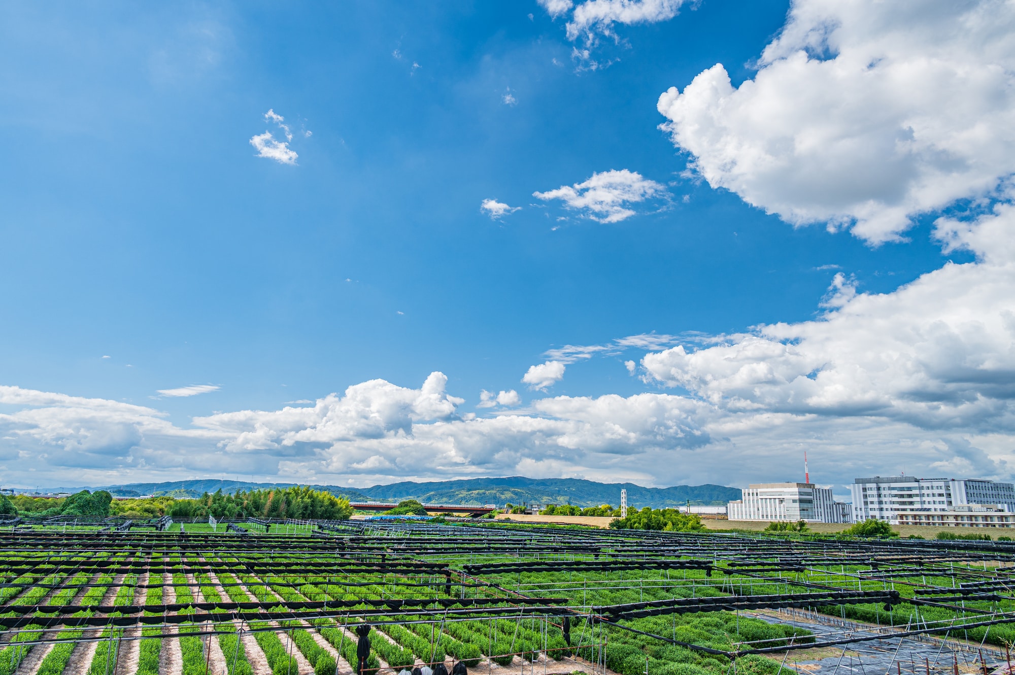 治安が悪い市区町村は「久御山町」