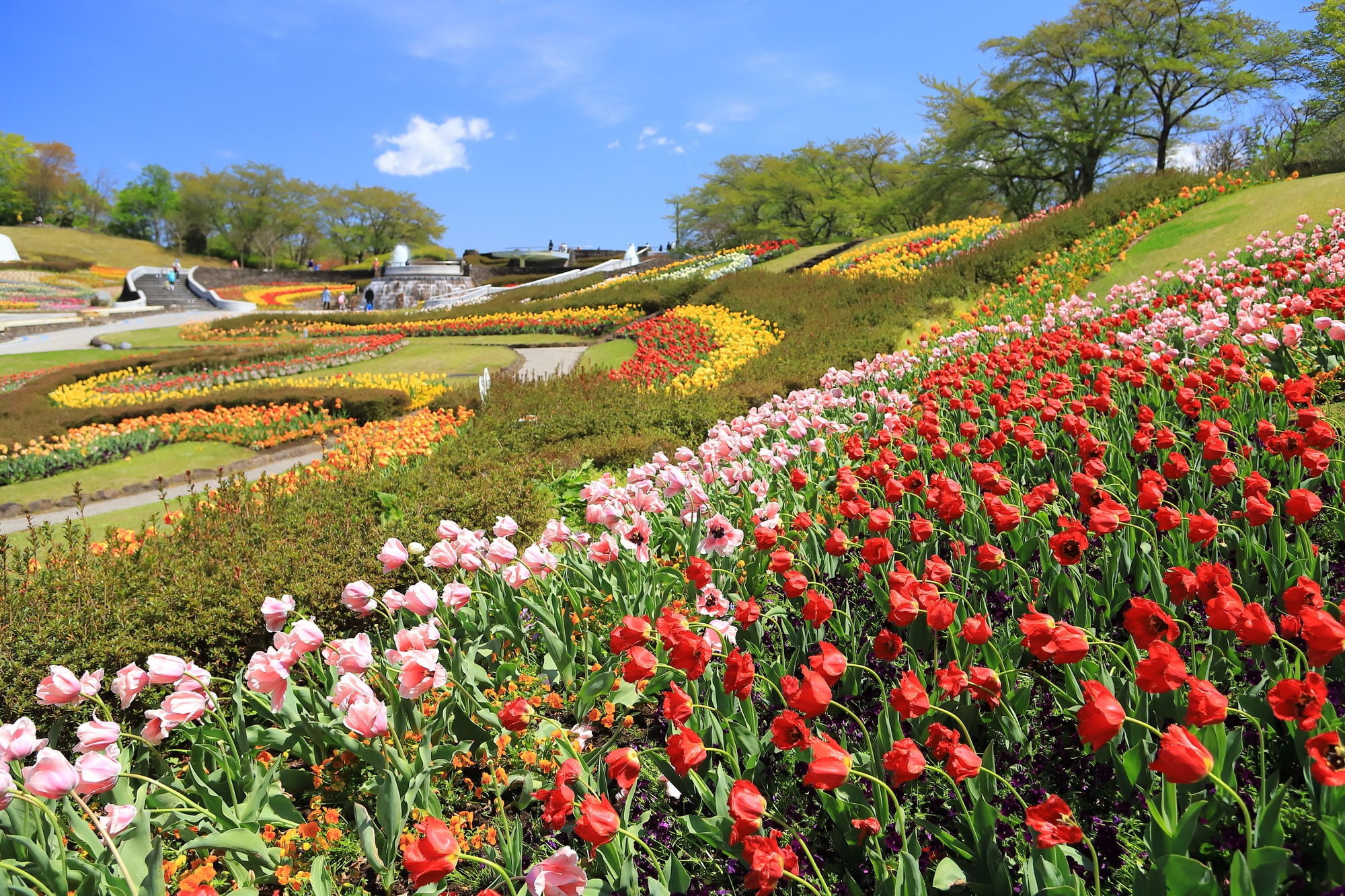治安がもっとも良い市区町村は「川崎町」