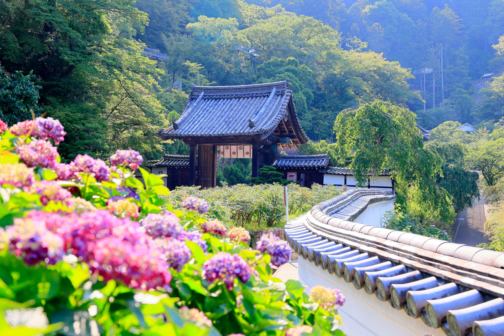 治安が悪い市区町村は「桜井市」