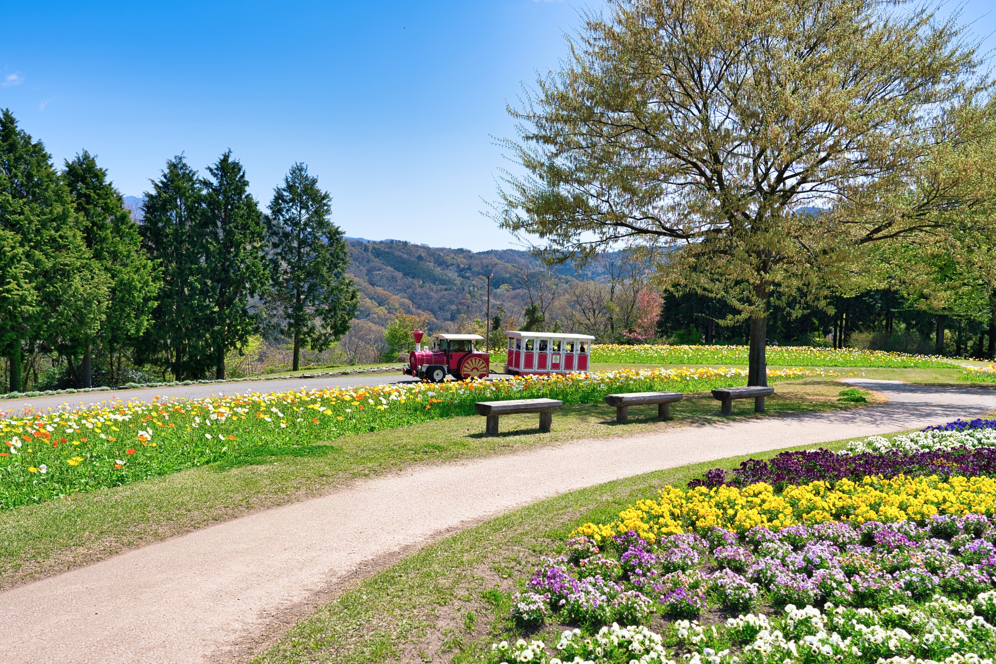 治安がもっとも良い市区町村は「南部町」