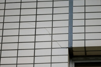 外壁にひび割れや剥離がないかを確認しよう