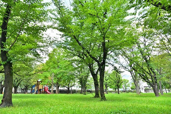 東綾瀬公園 児童コーナー周辺（画像出典：PIXTA）