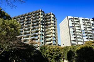 三菱地所レジデンスの「ザ・パークハウス グラン千鳥ヶ淵」（左）