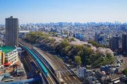 飛鳥山の満開の桜と新幹線（出典：PIXTA）