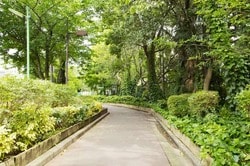 蛇崩川緑道