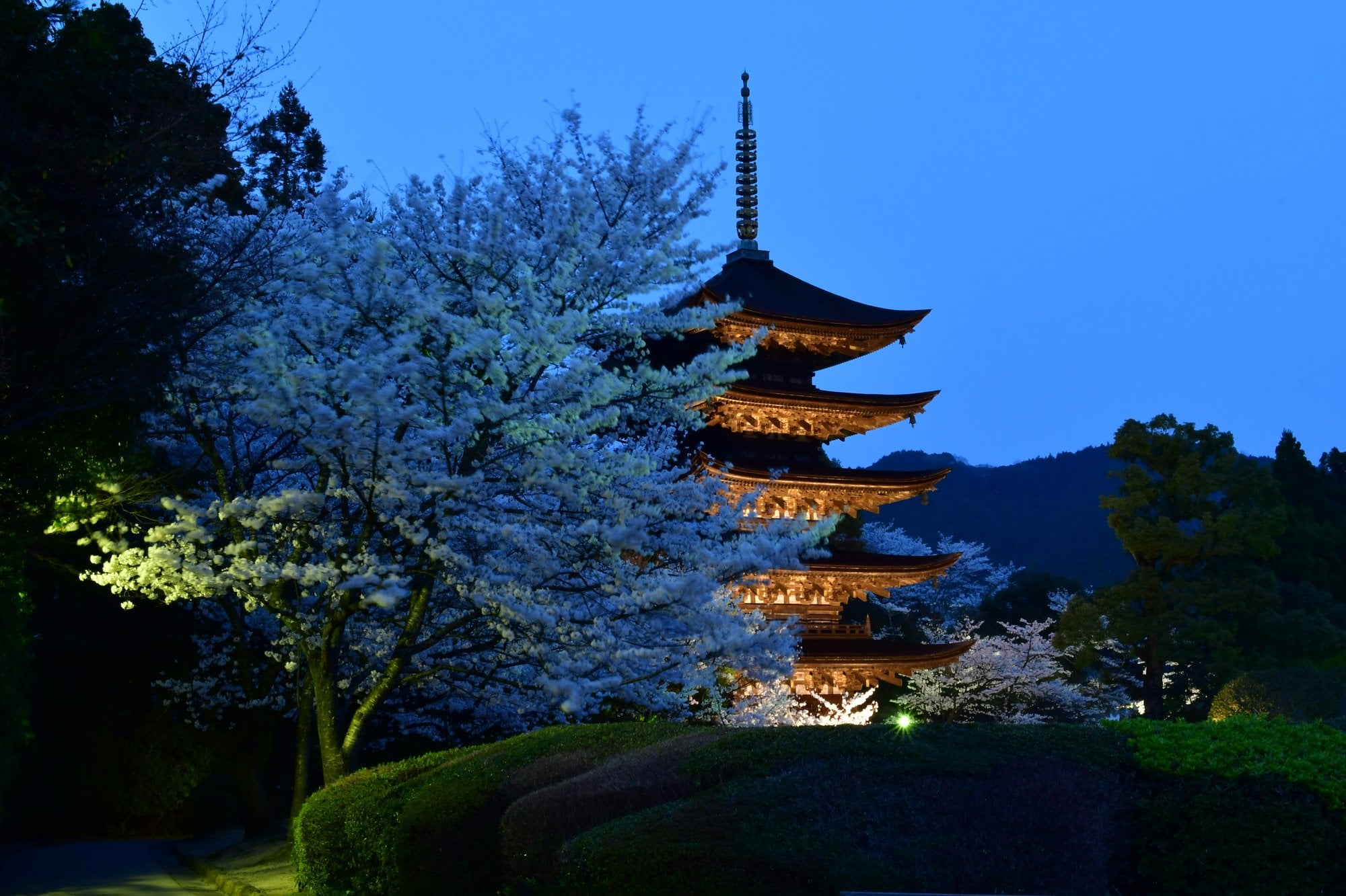 山口市の国宝瑠璃光寺の五重塔（出典：PIXTA）