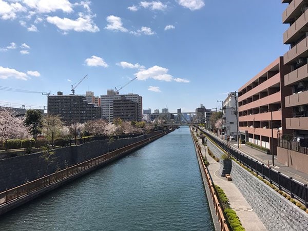 水辺、緑豊かな自然が広がるマンション周辺