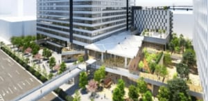 豊洲セイルパークが開業