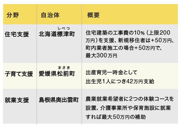 図表3 分野別移住支援の充実した自治体の例