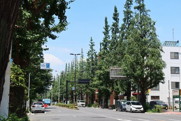 外苑西通り