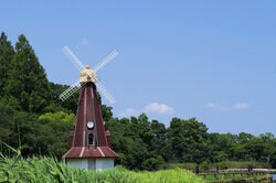 シンボリックな風車がある北区の浮間公園（出典：PIXTA）