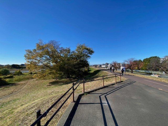 多摩川沿いの遊歩道（筆者撮影）