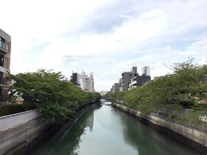 清澄白河の風景
