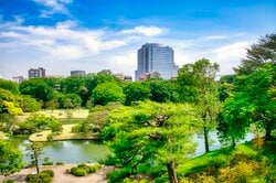 文京区・山手線内の都心でありながら、豊かな自然に恵まれる六義園