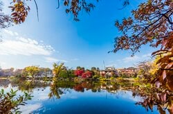 大きな池がシンボルの石神井公園（出典：PIXTA）