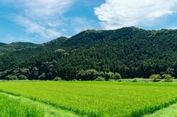 水田と緑の山と夏空　出典：Pixta