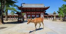 a奈良県の「新築マンション人気ランキング」奈良、生駒、橿原、香芝、高田など、注目エリアのおすすめ物件は？