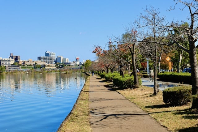 茨城県の「新築マンション総戸数ランキング」つくば、水戸、土浦、守谷、古河、東海など、注目エリアのおすすめ物件は？