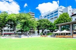 豊島区内の主要地域の特徴・主要施設・町名