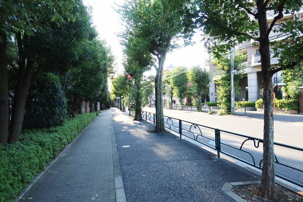 淡島通り