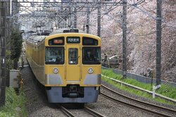 西武新宿線の黄色い車体がのどかな町並みに調和する（出典：PIXTA）