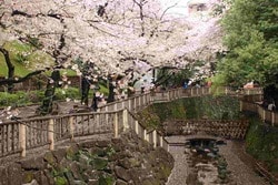北区の音無親水公園
