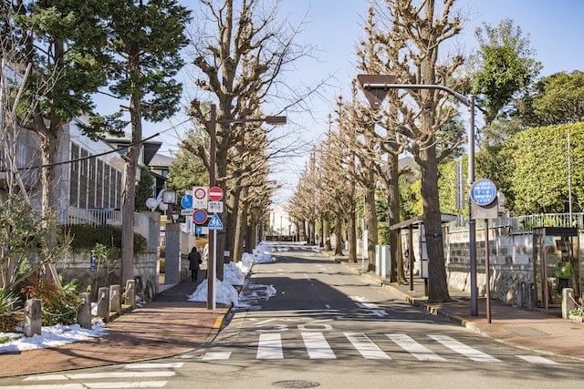 大田区の「新築マンション総戸数ランキング」久が原、山王、石川台、馬込、蒲田など、注目エリアのおすすめ物件は？