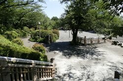 飛鳥山公園（出典：PIXTA）