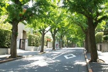 田園調布　高級住宅街の街並み