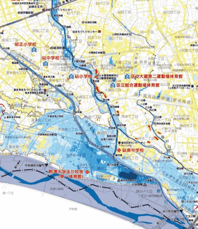 砧地域ハザードマップ