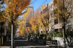 世田谷区深沢