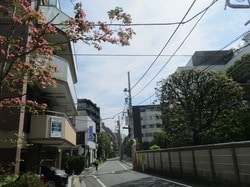 番町文人通り