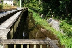 砧地域の岡本静嘉堂緑地