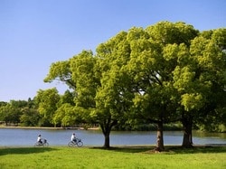 水元公園