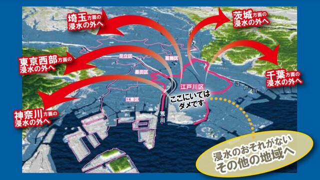 江戸川区ハザードマップ