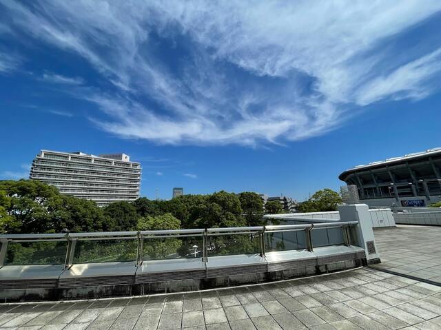 新横浜公園と労横浜災病院。見切れているのは日産スタジアム