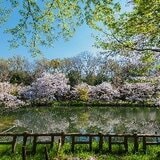 武蔵野市・三鷹市・立川市（東京都）で住むべき駅・街ランキング全10駅！利回りが良いのは、多摩モノレール沿線駅