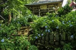 烏山地域の高源寺の池周辺