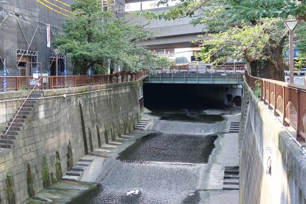 目黒川