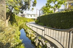 烏山緑道