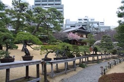 八芳園