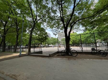 北中島公園の写真