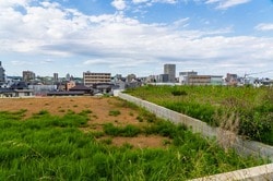 大きな土地の売却