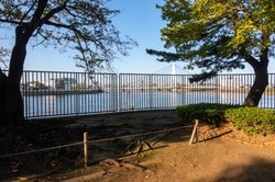 新中川通水記念公園