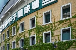 蔦の葉が這う外壁が印象的な阪神甲子園球場
出典：Pixta