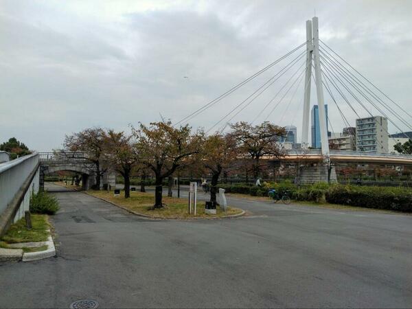 パークタワー大阪天満橋近くの天満橋公園（撮影：筆者）