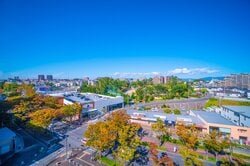 開発が進む枚方市の街並み
  出典：Pixta
